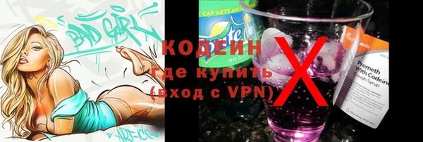 индика Новозыбков