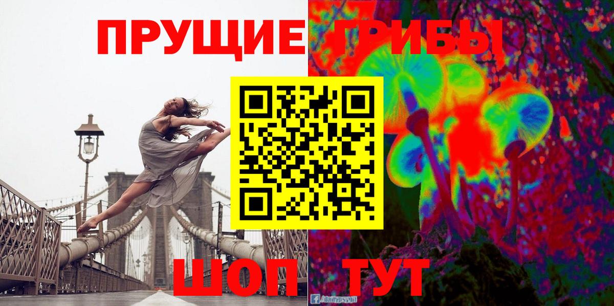 Галлюциногенные грибы Cubensis Строитель