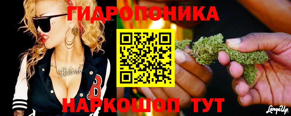 Конопля SATIVA & INDICA  Вход с VPN  Строитель  Канабис семена 